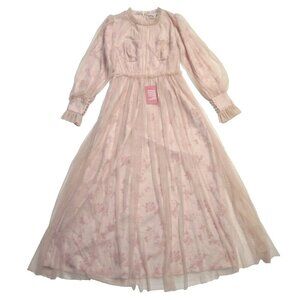 NWT Ivy City Co Last Songbird in Pink Floral Tulle Maxi Dress XS